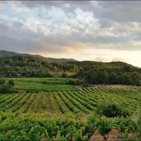 Les Voltes I - 2bd Hidden Gem In Hilltop Wine Village Barbara