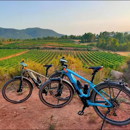 Les Voltes I - 2bd Hidden Gem In Hilltop Wine Village *